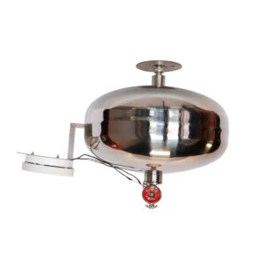 Detextintor Acero Inoxidable SS304 6 L