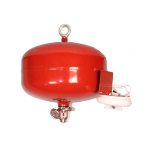 Detextintor PQS 6 kg Llena